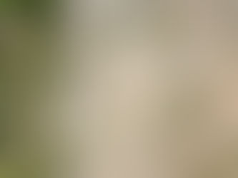 Setting the Boundaries (Make God Your First Priority)