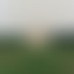 House with the Golden windows🏠