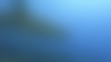 Shark Attacks in Panama City Beach (2026 Report)