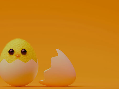 Kelly's Annual Baby Chick Watch: 17 Babies Hatching Saturday!!!