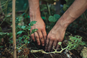 Hands working in the garden | Takes One to Write One