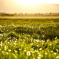 Image by Kyle