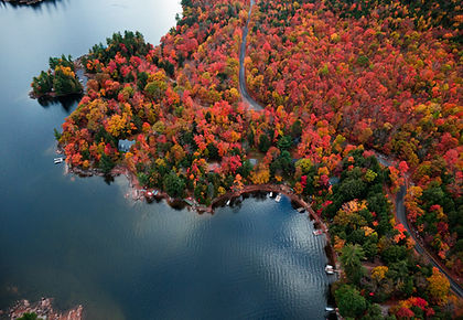 An aerial view of a forested peninsula ablaze with autumn colors, surrounded by calm blue water. Image by Derek Sutton.