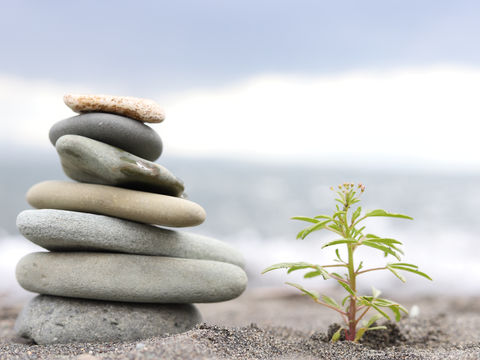 Stacked smooth pebbles on a sandy beach beside a small green plant, with a soft blurred ocean and sky in the background.