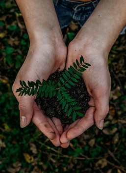 Image by Noah Buscher