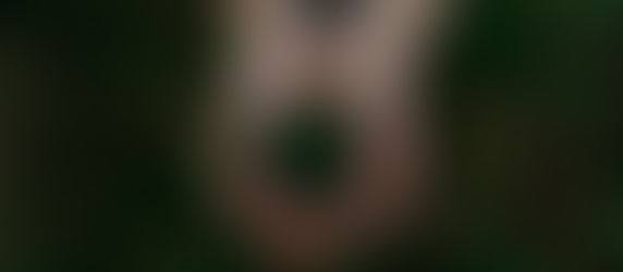 Em audiência conjunta, comissões buscam equilíbrio para Lei do Licenciamento Ambiental