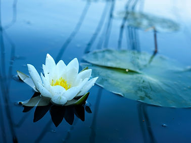 Image by Maria Kuklina