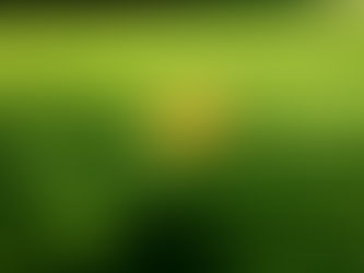 ショップサイトオープン記念スペシャルセール延長決定!