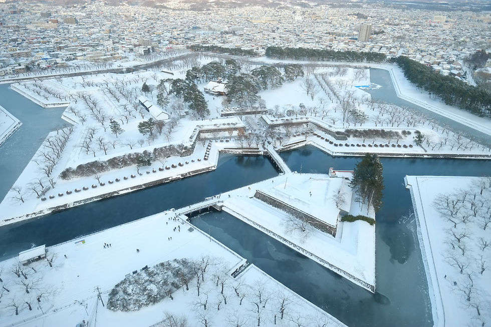 Aerial view of a snowy star-shaped fort surrounded by moats, trees, and paths. People walk across the snow, with a cityscape in the distance.