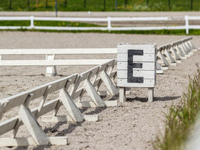 Getting Ready for Dressage Competitions: The Ultimate Aussie Checklist