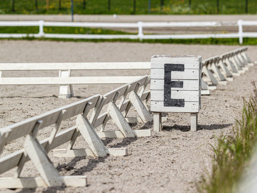 Prinzessin Paula galoppiert ins Finale: Qualifikation für Nürnberger Burg-Pokal