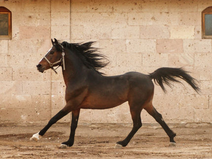 Image by Selçuk Ulutaş