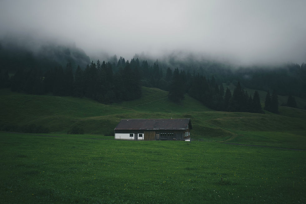 Cabin on a lush green meadow with mist-covered pine trees in the background. Overcast sky creates a serene, moody atmosphere.