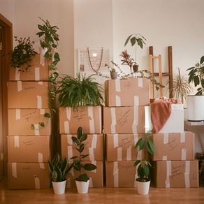 moving boxes