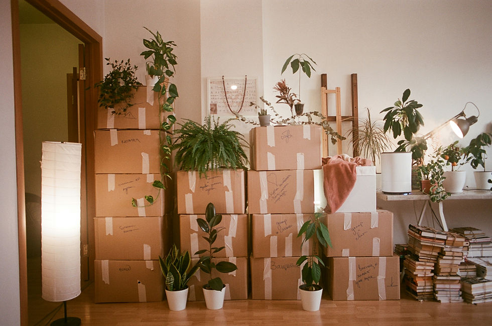 Image by Dina Badamshina