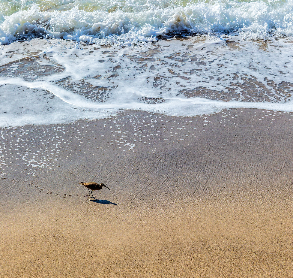 Image by Dave Hoefler