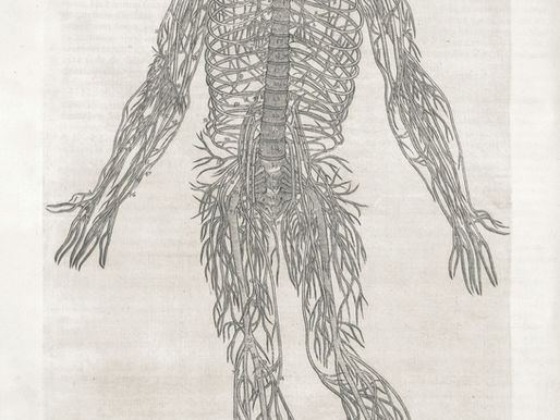 Unraveling the Mystery of Amyotrophic Lateral Sclerosis