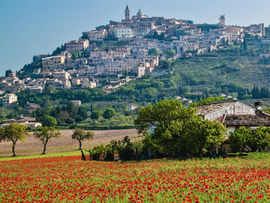 A hillside in Umbria Italy
