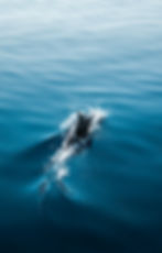 Image by SeeFromTheOceans - (HussaIn Aiman)