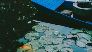 Punctum Edebiyat Söyleşileri: Sema Kaygusuz