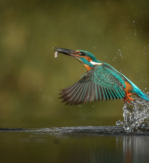 Image by Vincent van Zalinge
