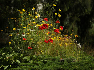 Inside Out: Why Your Interior Palette Should Lead Your Planting