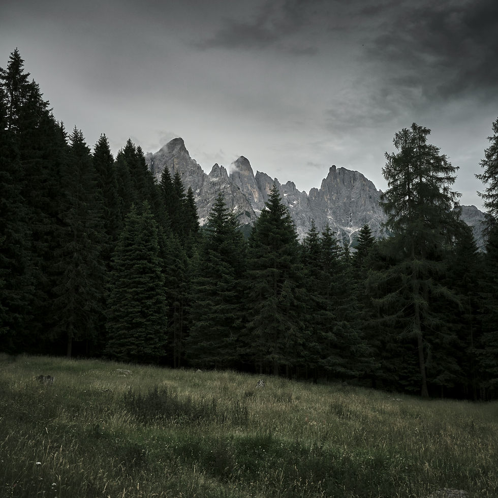 Camminata UNBOUND | Passi Liberi in Lagorai - Trentino