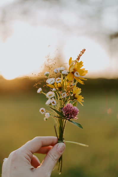 Image by Samantha Borges