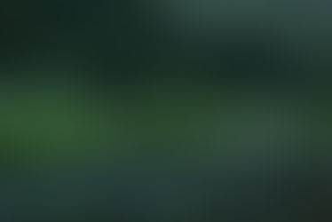 FlyFishing in Montana