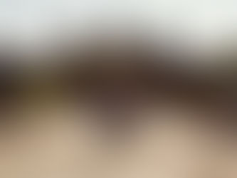 Distance Ho Chi Minh City to Siem Reap: A Complete Guide by Asia Transport