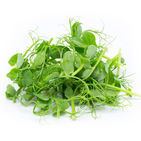 Image by Petr Magera