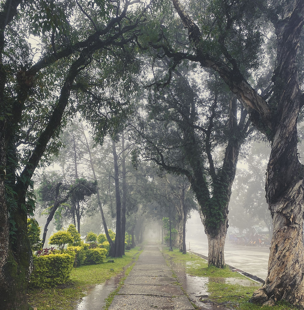 Senator Mark Villar seeks to establish Philippine public parks system