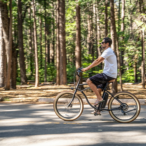 Image de Tower Electric Bikes