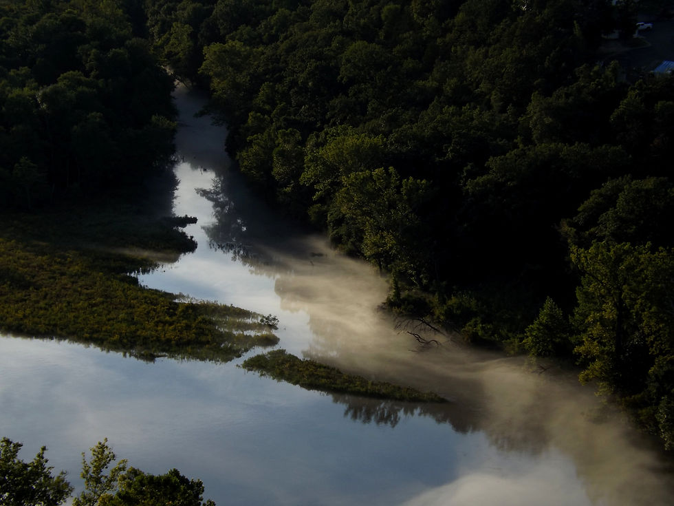 Lake Taneycomo Fishing Guide