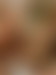 signature perfume scents