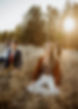 Image by Amie Roussel