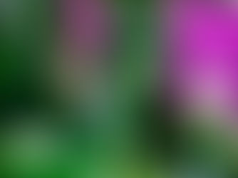 Leadership Capacity Beyond 50: Recalibrating the Body for the Second Half