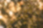 Image by Vitolda Klein