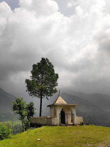 Image by Vikrant Negi