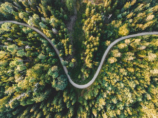 A winding road through a forest, symbolizing how reclassifying transactions after the close creates unnecessary detours without a disciplined close cadence.