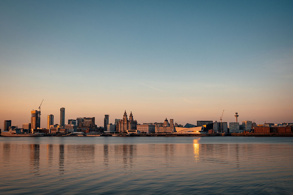 Image by Ryan Warburton