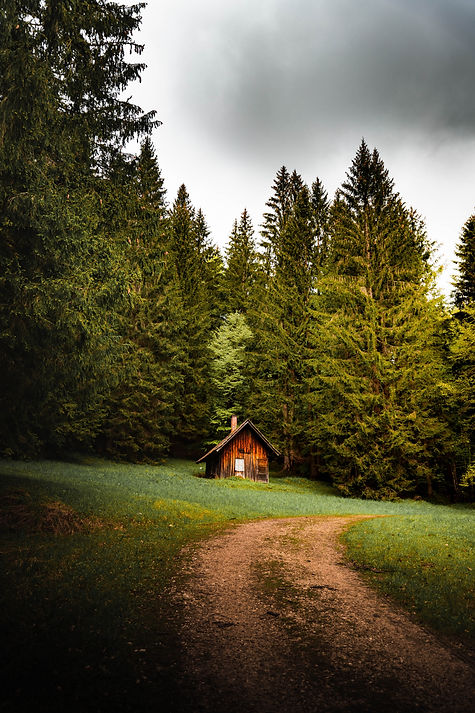 Image by Daniel J. Schwarz