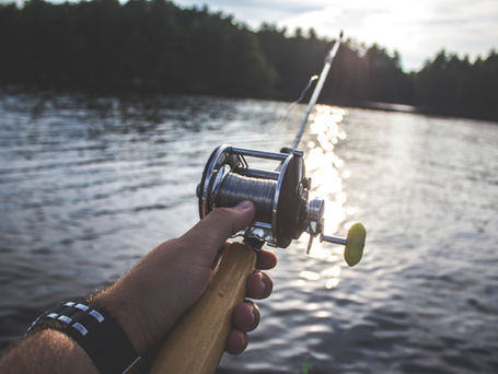 Lake DeGray Fishing Guide: Fishing in Arkadelphia, Arkansas