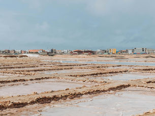 Salt, Heat, and Steel: Climate Weathering and the Transformation of the Global Economy