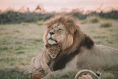 Image by Brianna R.