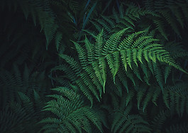 Image by Mykyta Martynenko