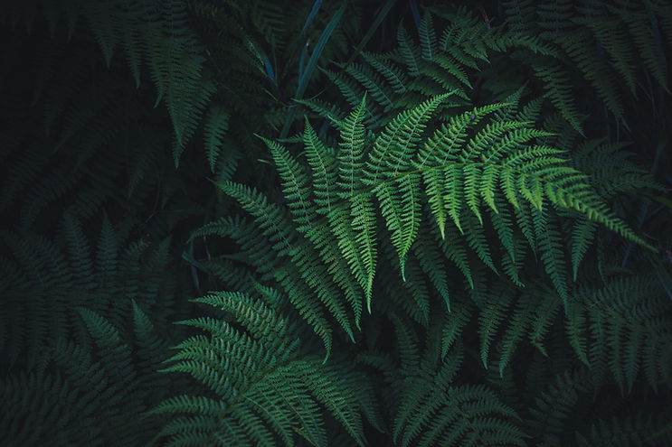 Image by Mykyta Martynenko