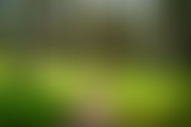 Life is a journey, not a destination