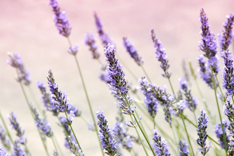 organic facial services near bethesda maryland