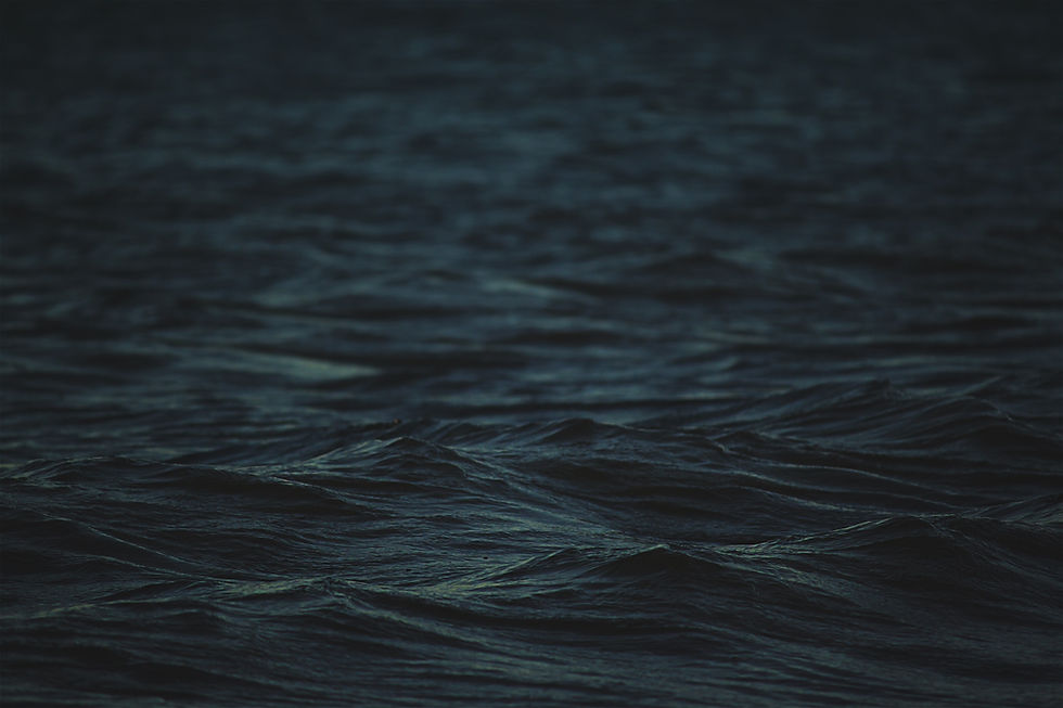 Image by Isai Ramos